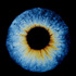 Artist took pictures of oil droplets in the water, only to find that they have become ... ... Eye